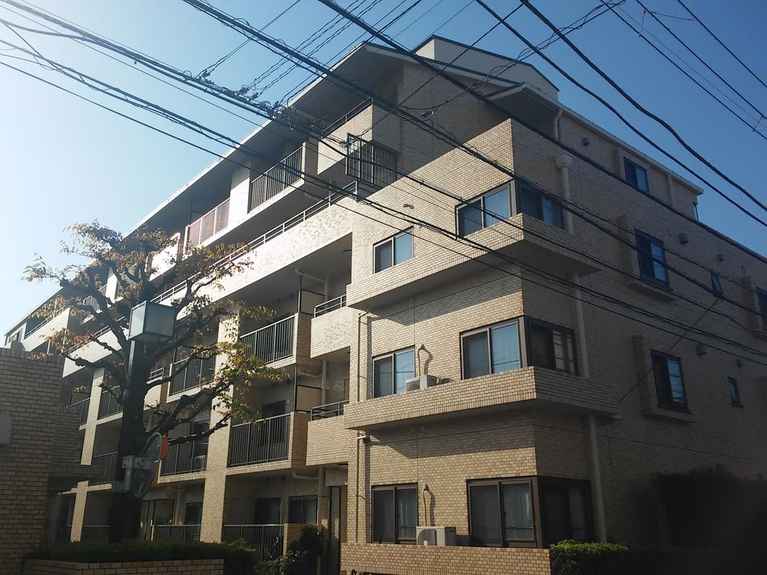 セルコヴァハイツ綱島 外観