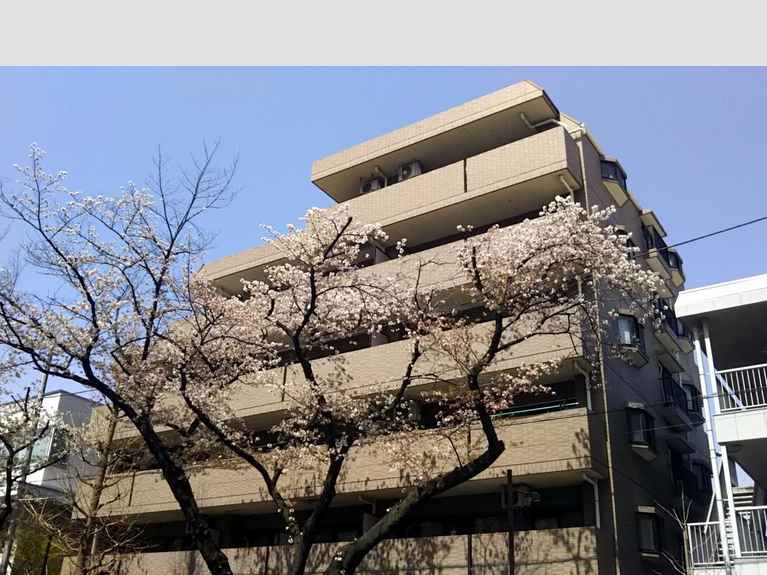 ライオンズマンション国立さくら通り 外観
