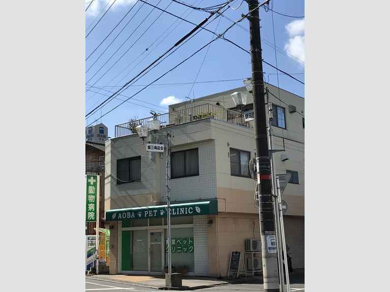 カーサキュエ 外観