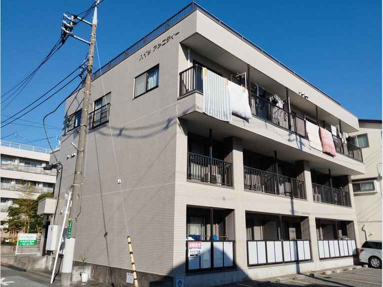 ハイツアメニティー 外観