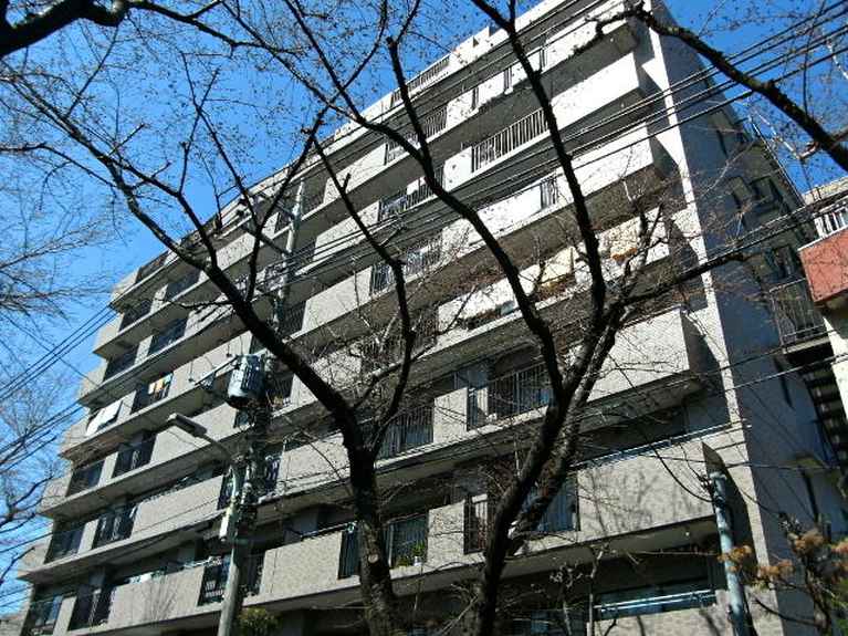 ナイスアーバン久米川 外観