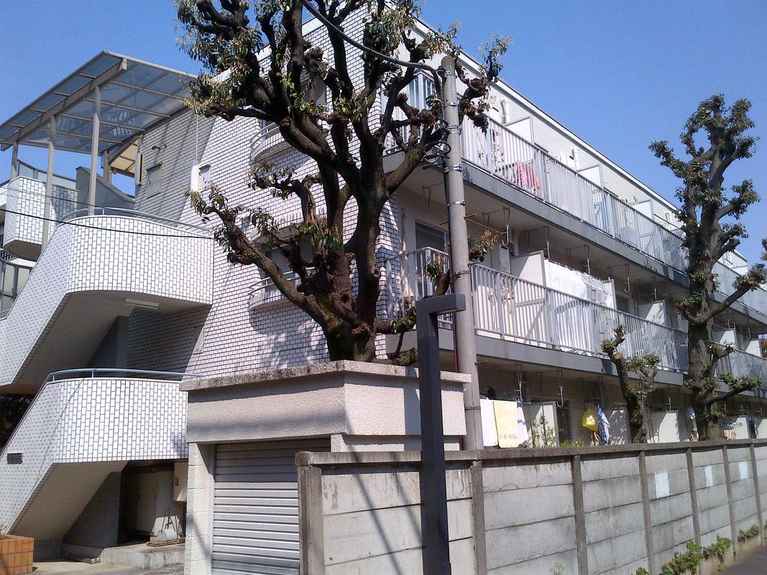 スワコモンズ 外観