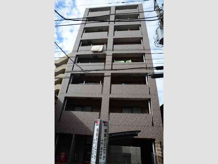 STEPS-3 外観