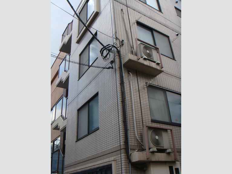カナリーグラス 外観