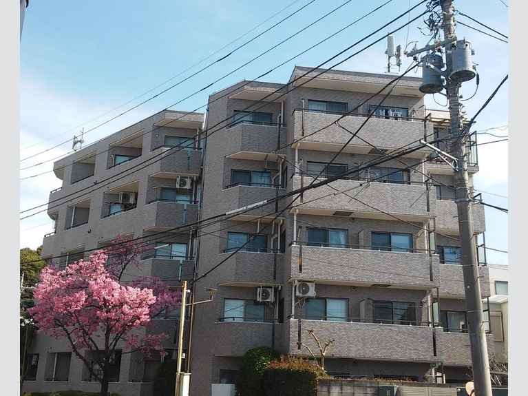 コスモ武蔵小金井 外観