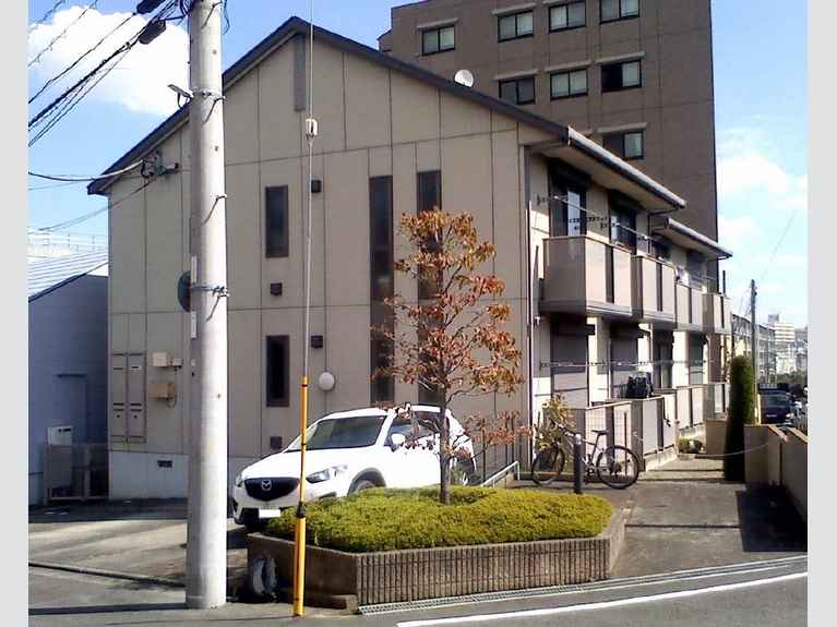チェルシー 外観