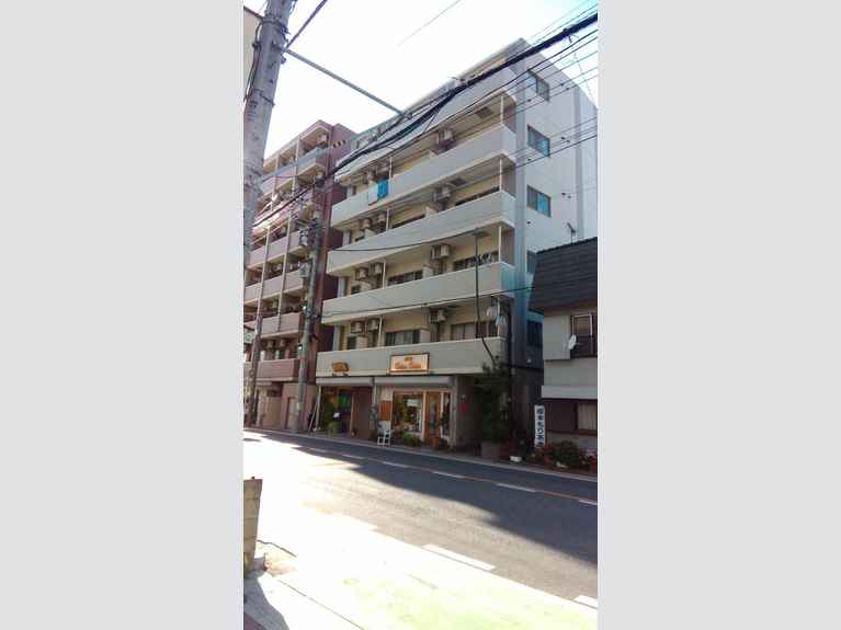 フラバンジェノール 外観