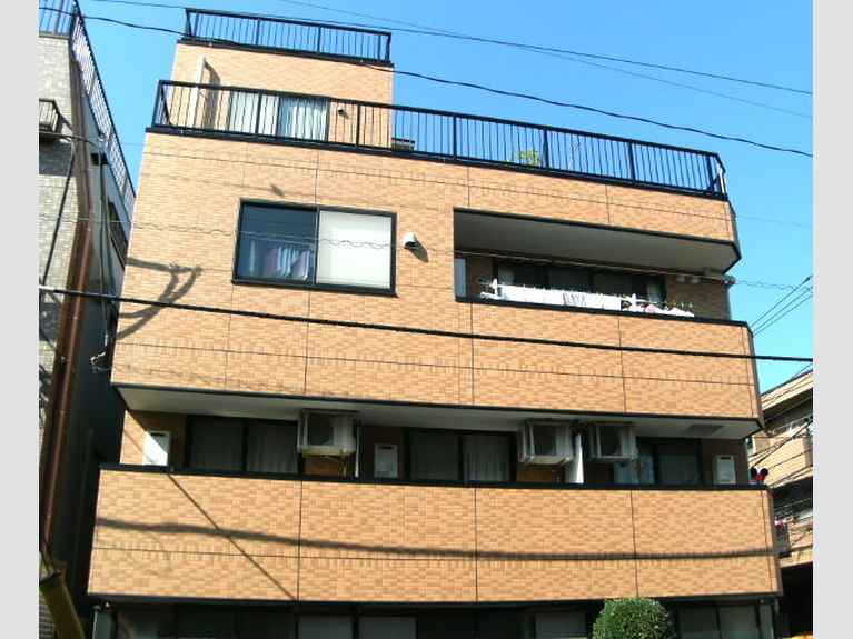 クレステッドオオイ 外観
