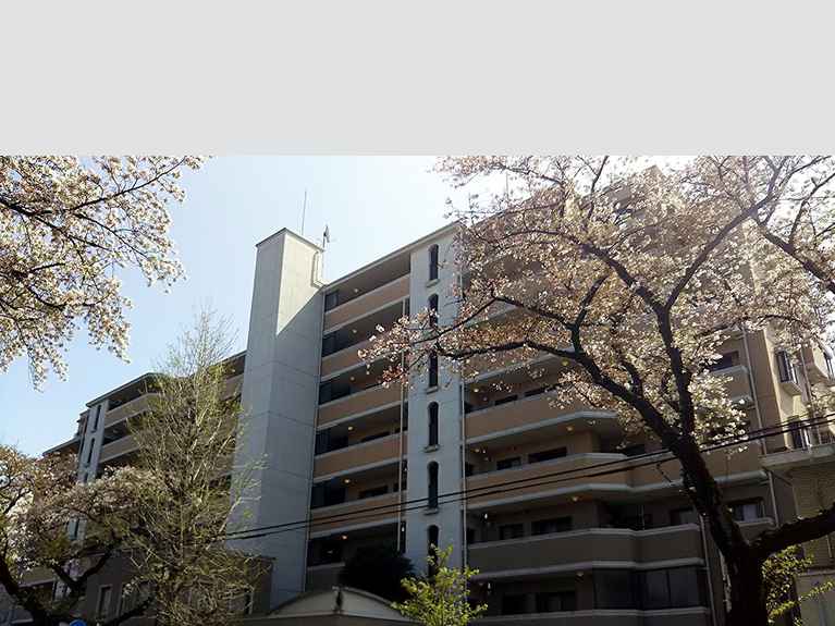 オーベル国立さくら通り 外観