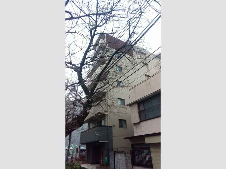 スカイコートヌーベル中村橋 外観