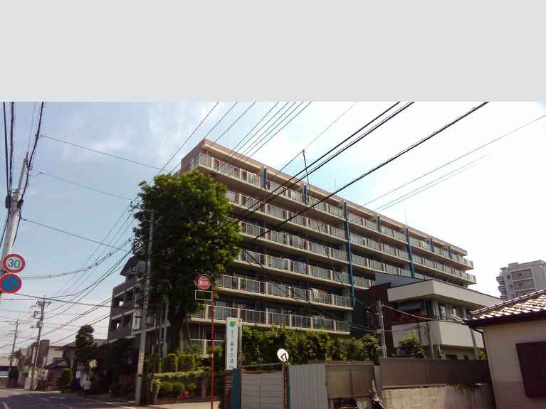 エコヴィレッジ川越仲町 外観