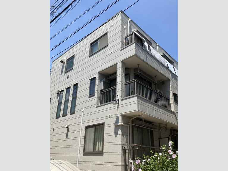 キャベッジホワイト 外観