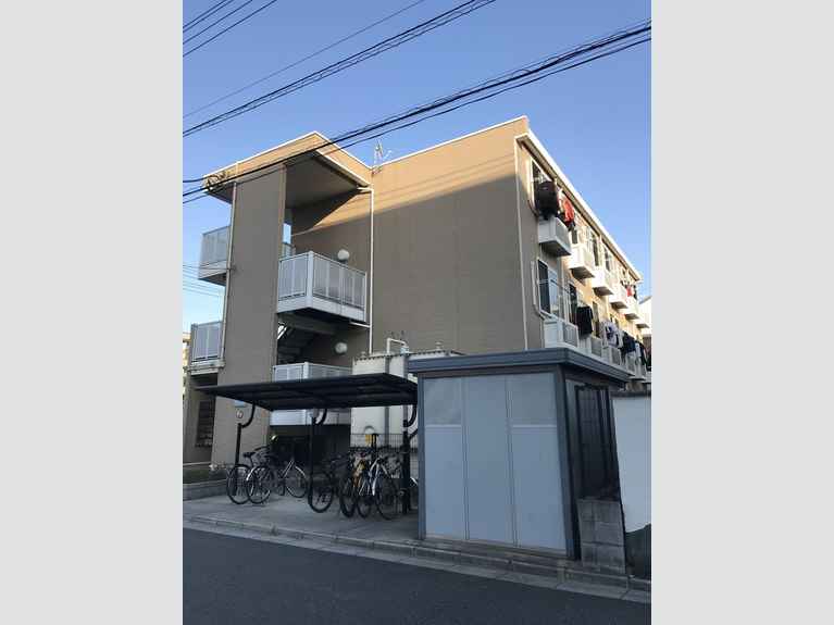 カリン 外観