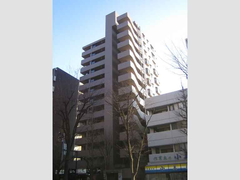 ナイスアーバン川崎駅前通り 外観