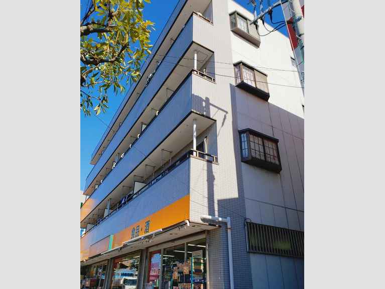 リリーパレスナルシマ 外観