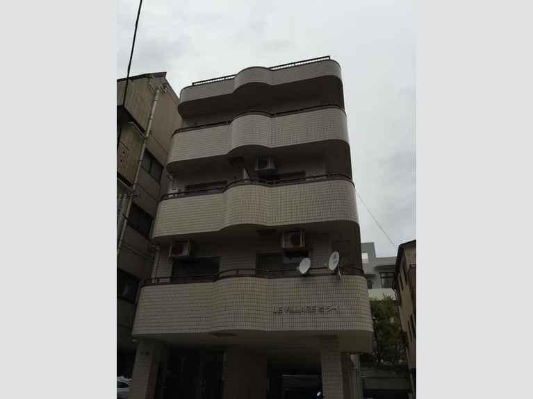 レビレッジ平井 外観