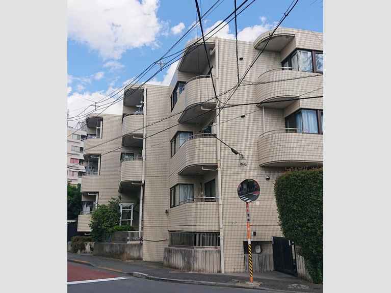 第一フルールド花崎 外観