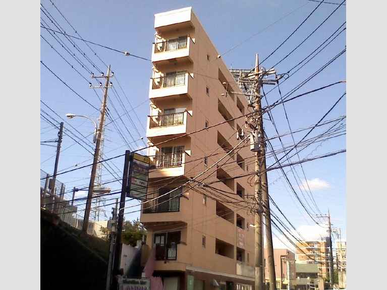 ビンセプトアオバダイ 外観
