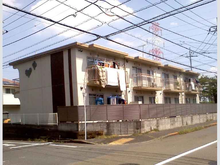 サンホワイトM508 外観