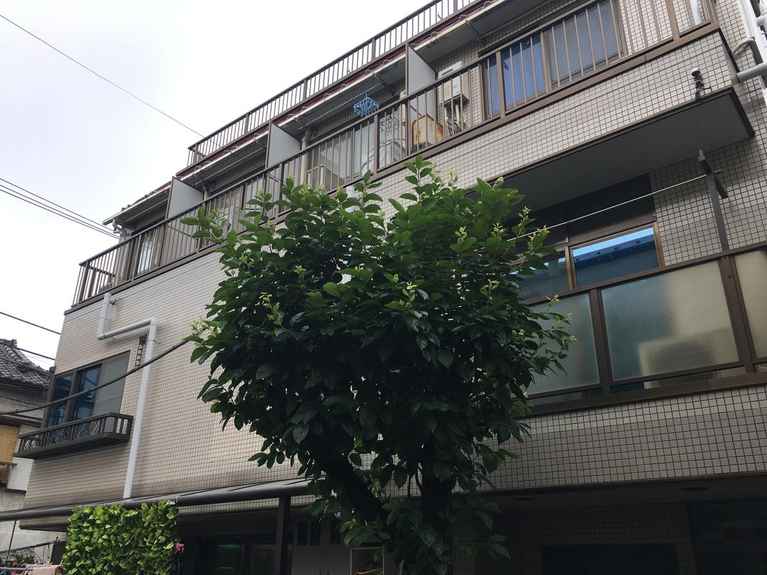 パーシモンハウス 外観