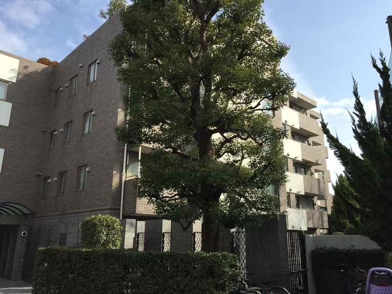 グランデ城山 外観
