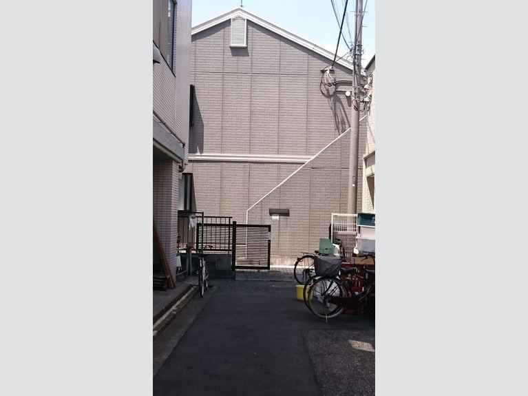 フェローワラビ 外観