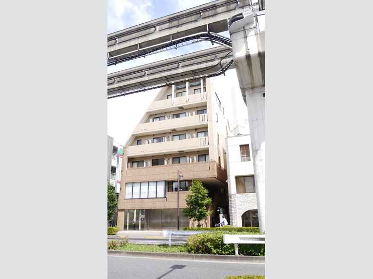 静フェバレット 外観