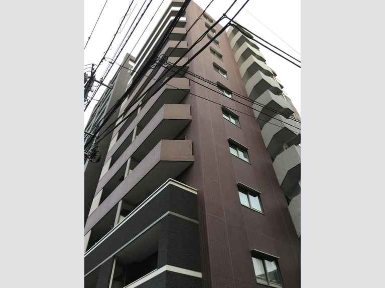フェザント 外観