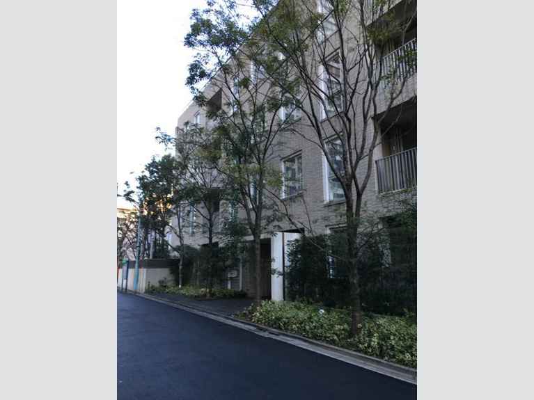 Blossom Terrace 外観