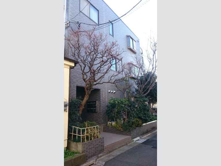 ディアライフ伊藤 外観
