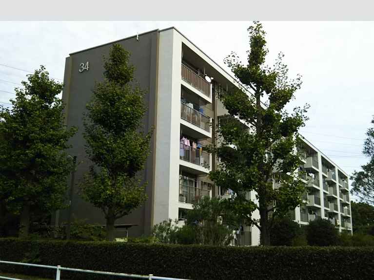富士見町団地34号棟 外観