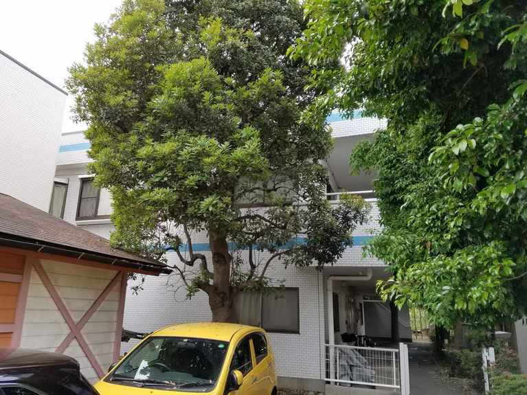 ウィズ妙蓮寺1ST 外観