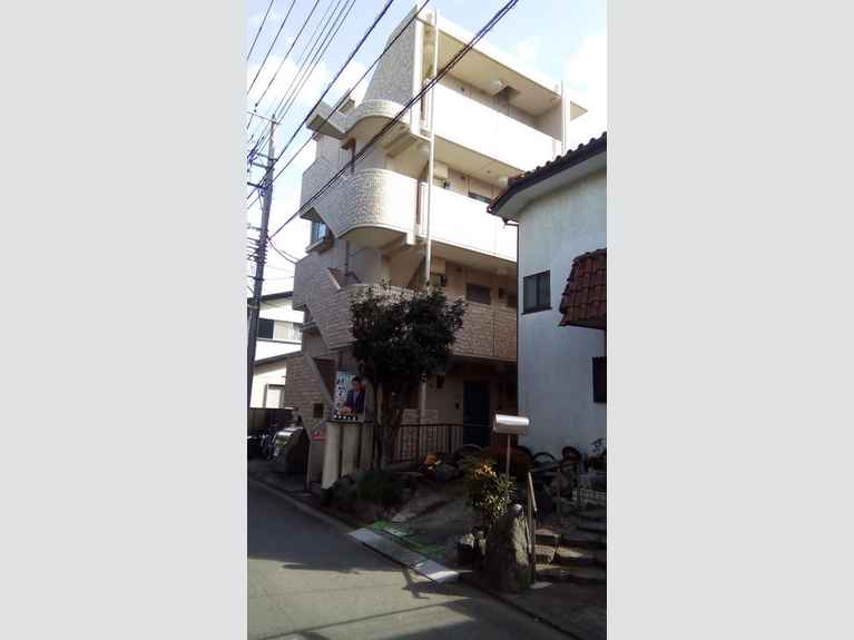 桜樹 外観