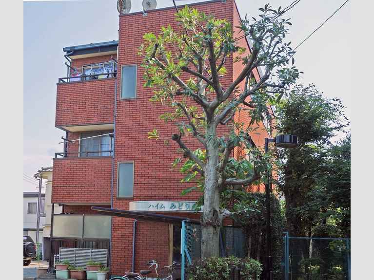 ハイムみどり 外観