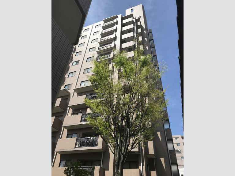 東急ドエルアルス川口5丁目壱番館 外観
