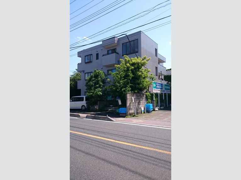 ウィード綱 外観