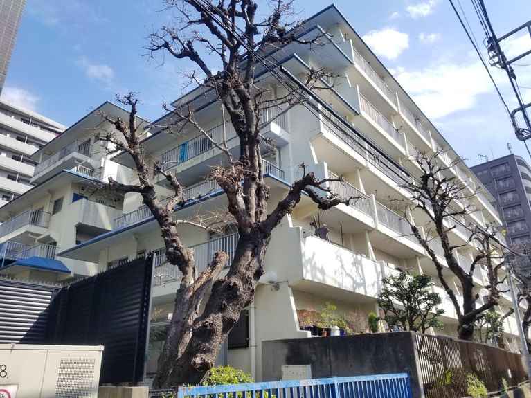 ハイネス中野 外観
