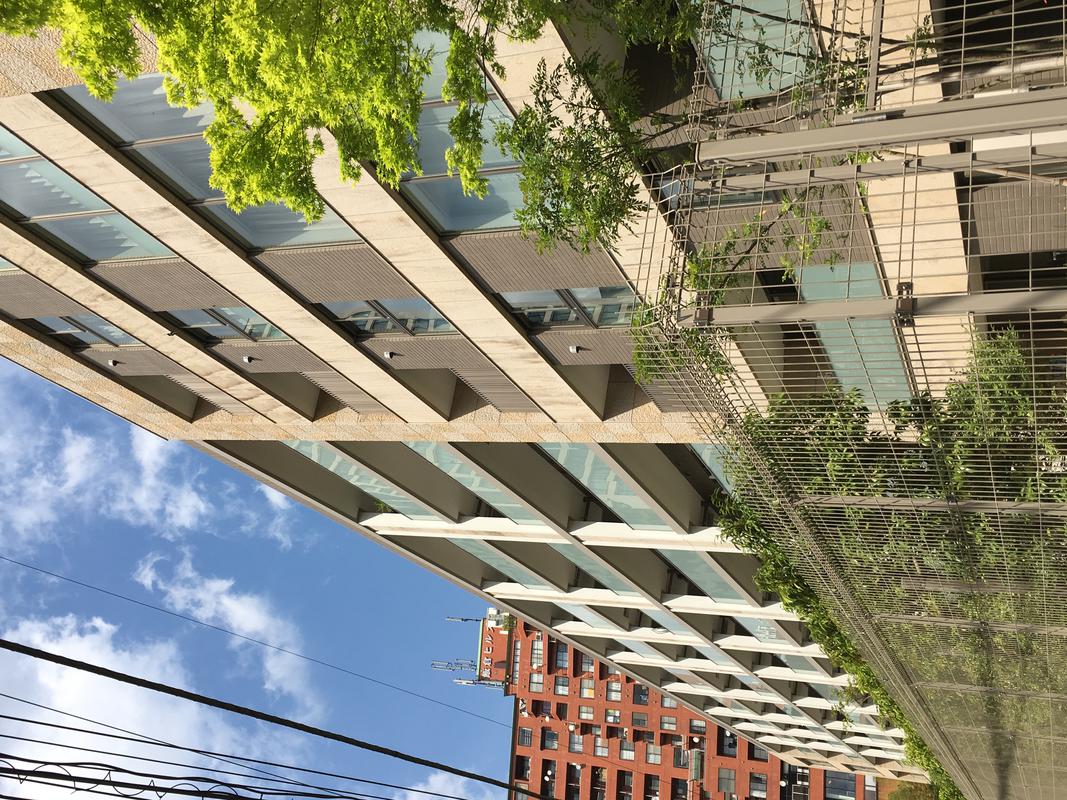 公の場での発言・インタビュー報道記録