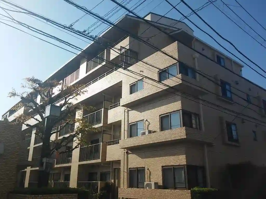 セルコヴァハイツ綱島 外観