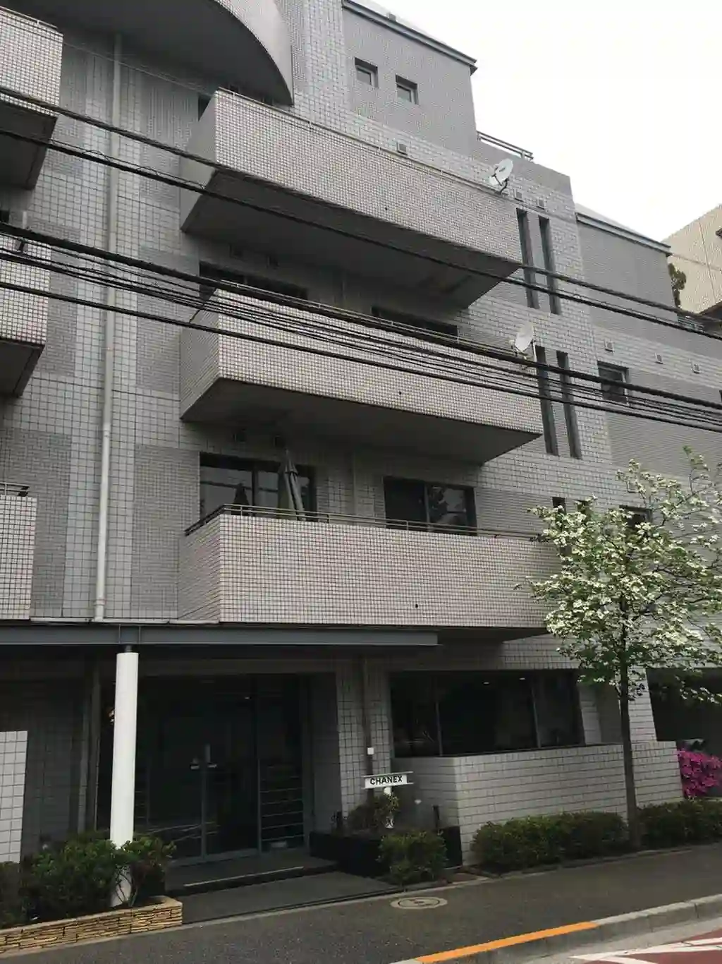 CHANEX 外観