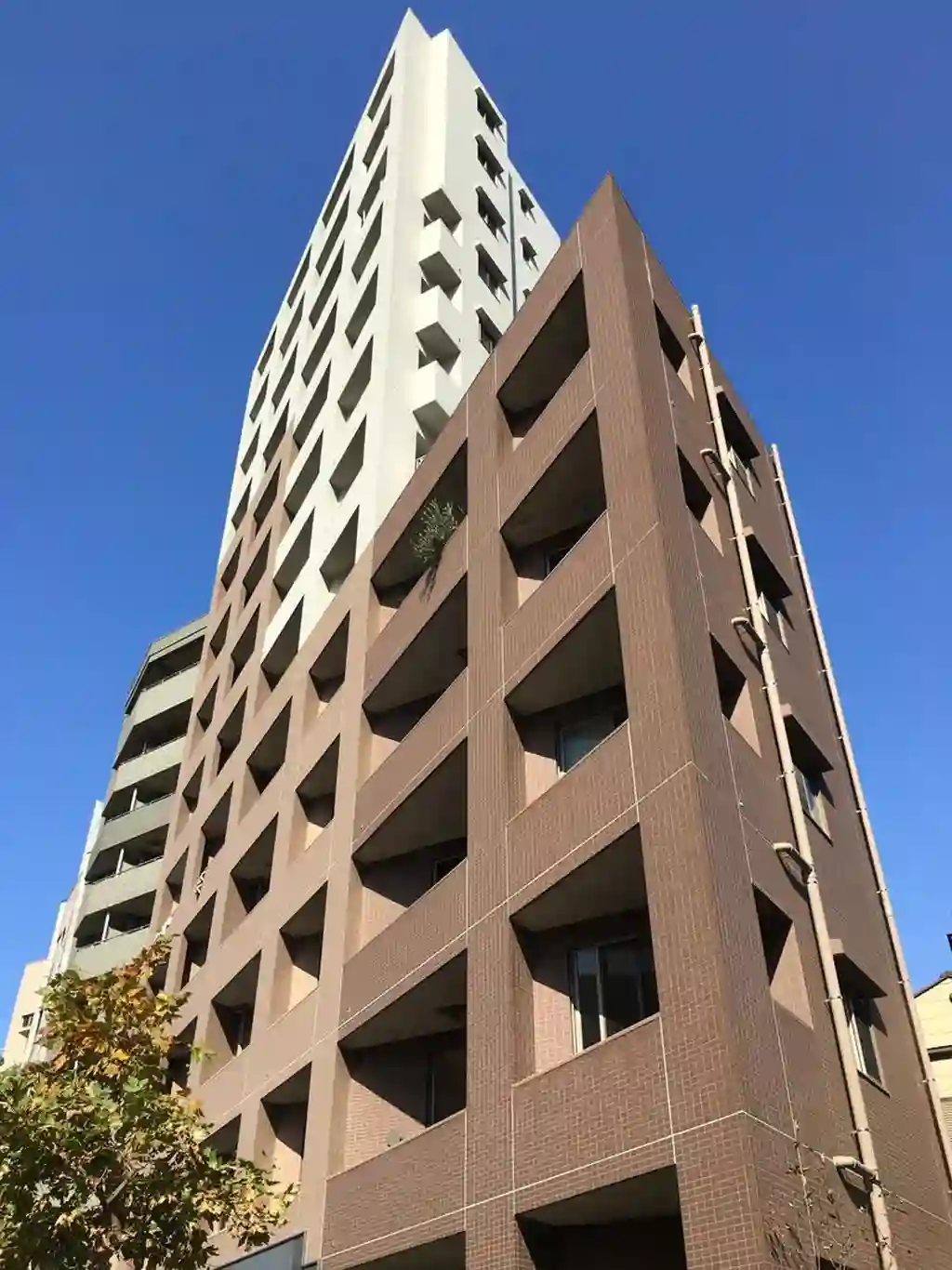 パレステージ西巣鴨 外観