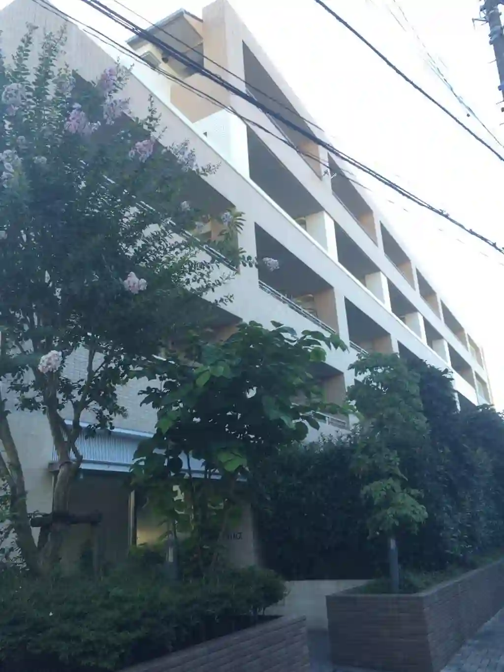 グローヴ・ステージ 外観