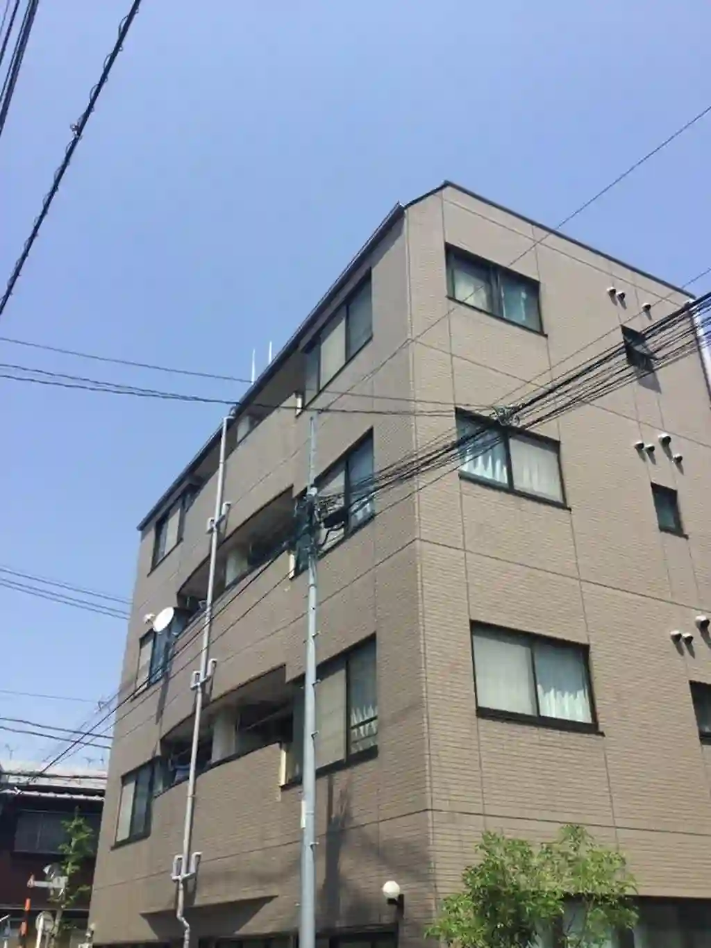 クレモナ 外観