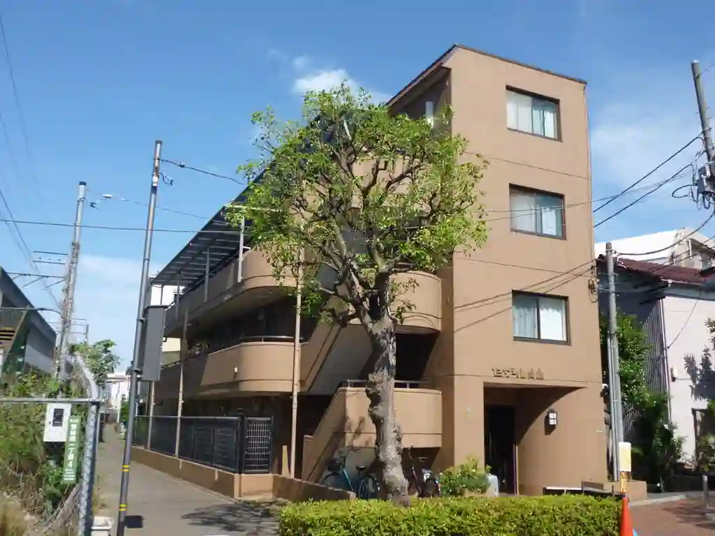 セザール綾瀬 外観