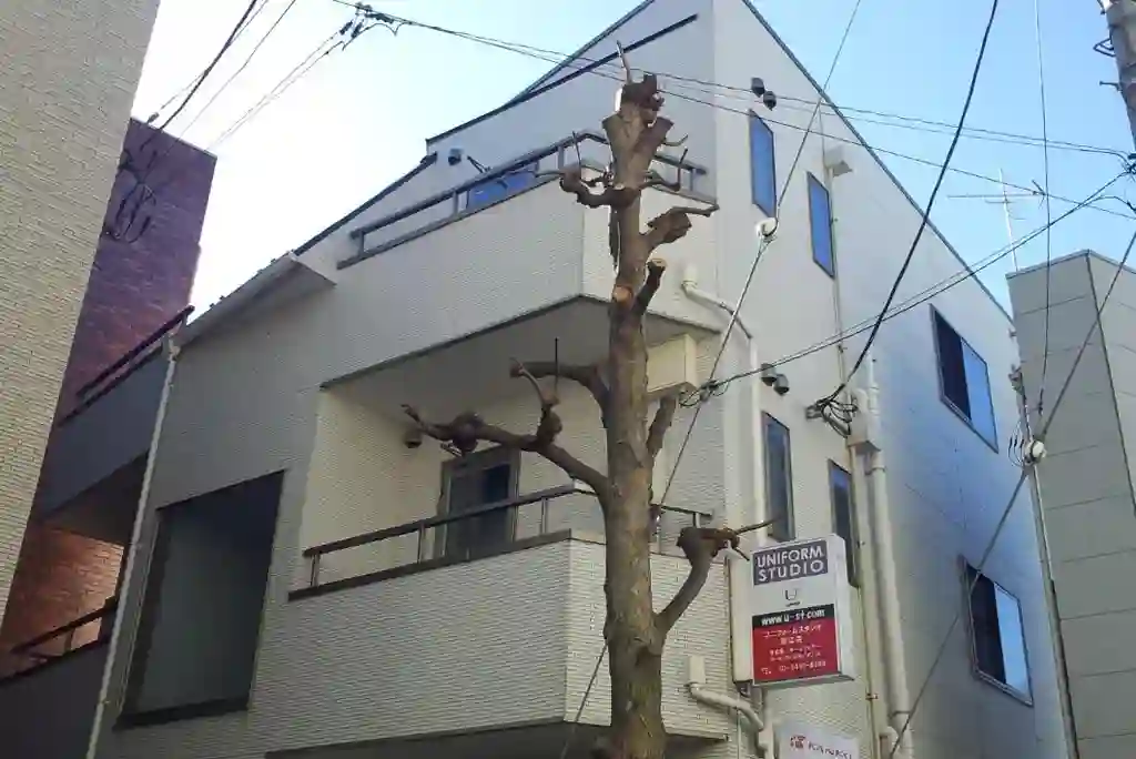 USメゾン 外観