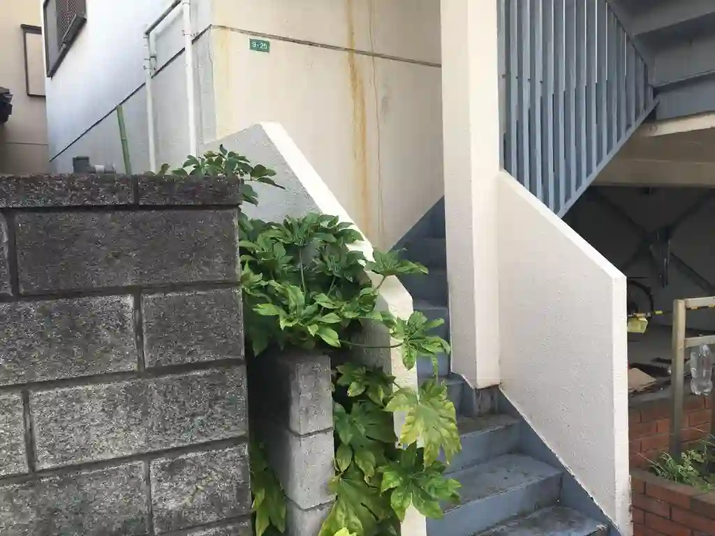 奥沢ハイツ 外観
