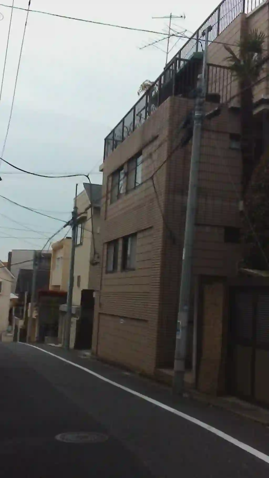 小日向レジデンス 外観