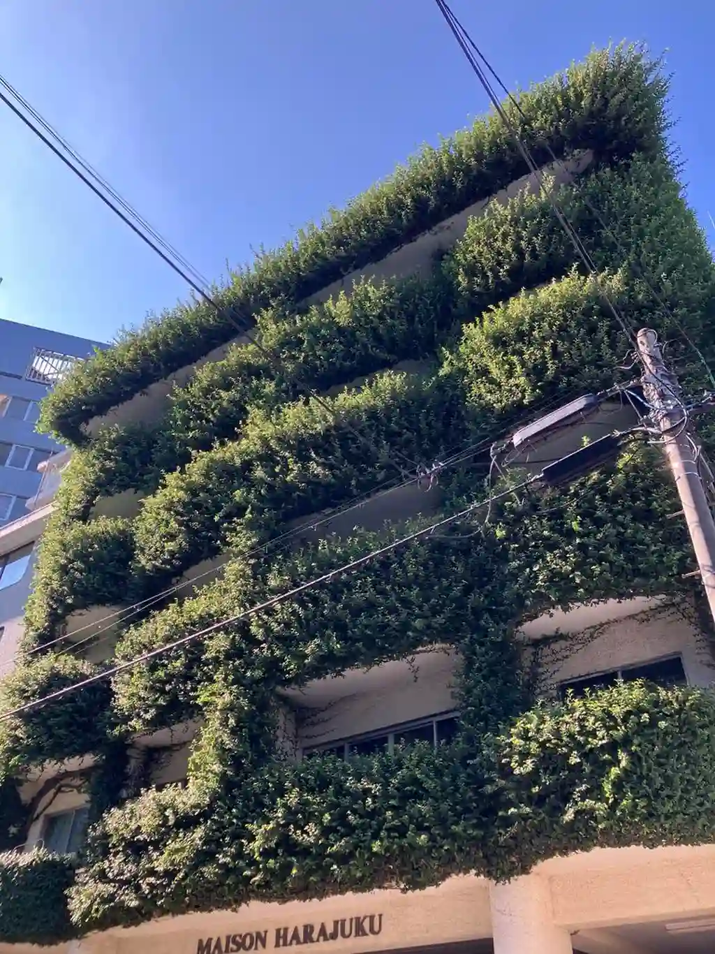 メイゾン原宿 外観