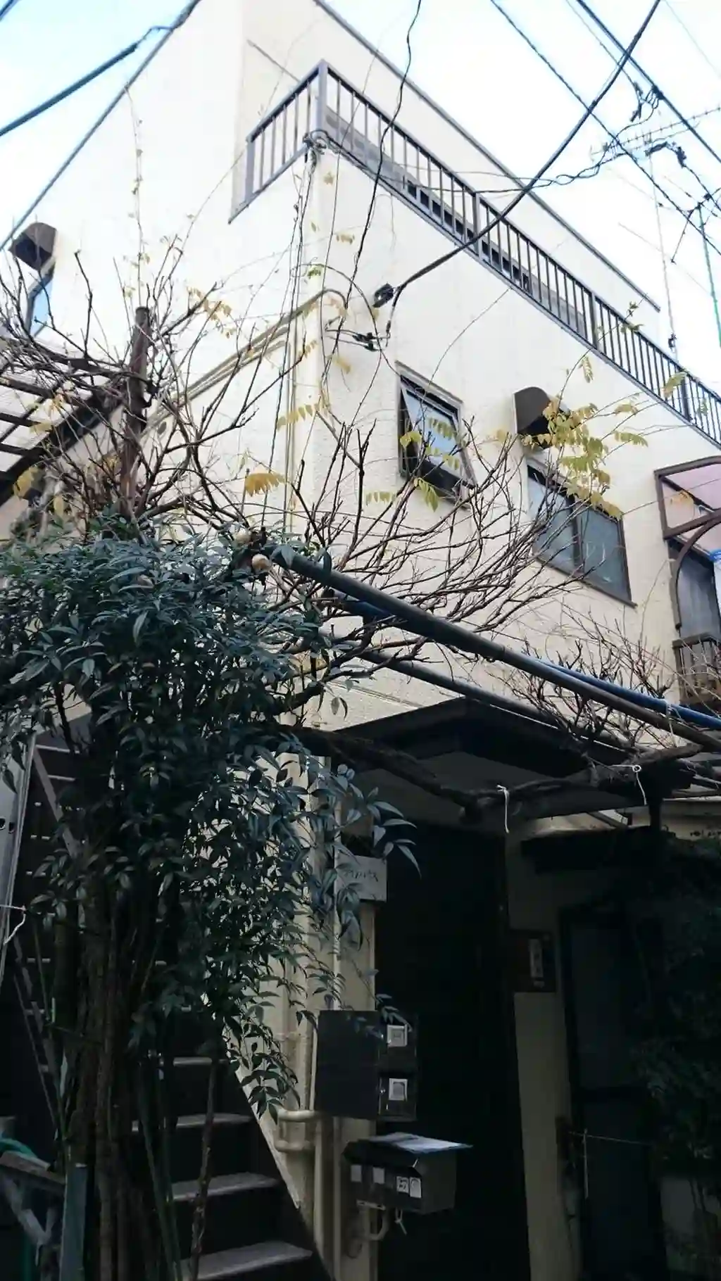ツインハウス 外観