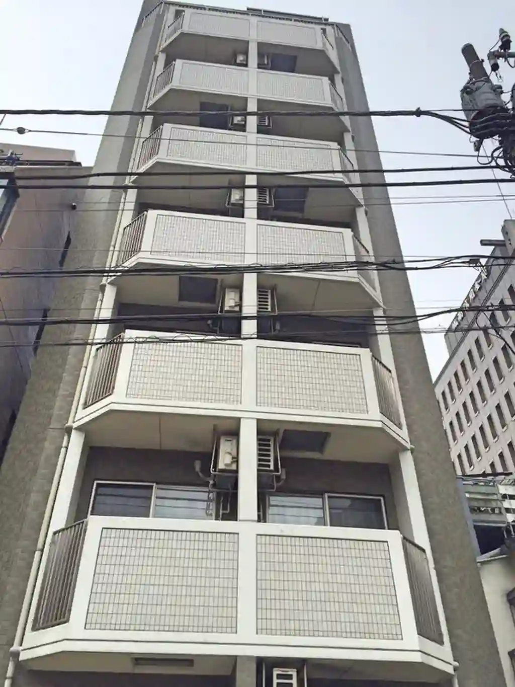 Paddy 外観